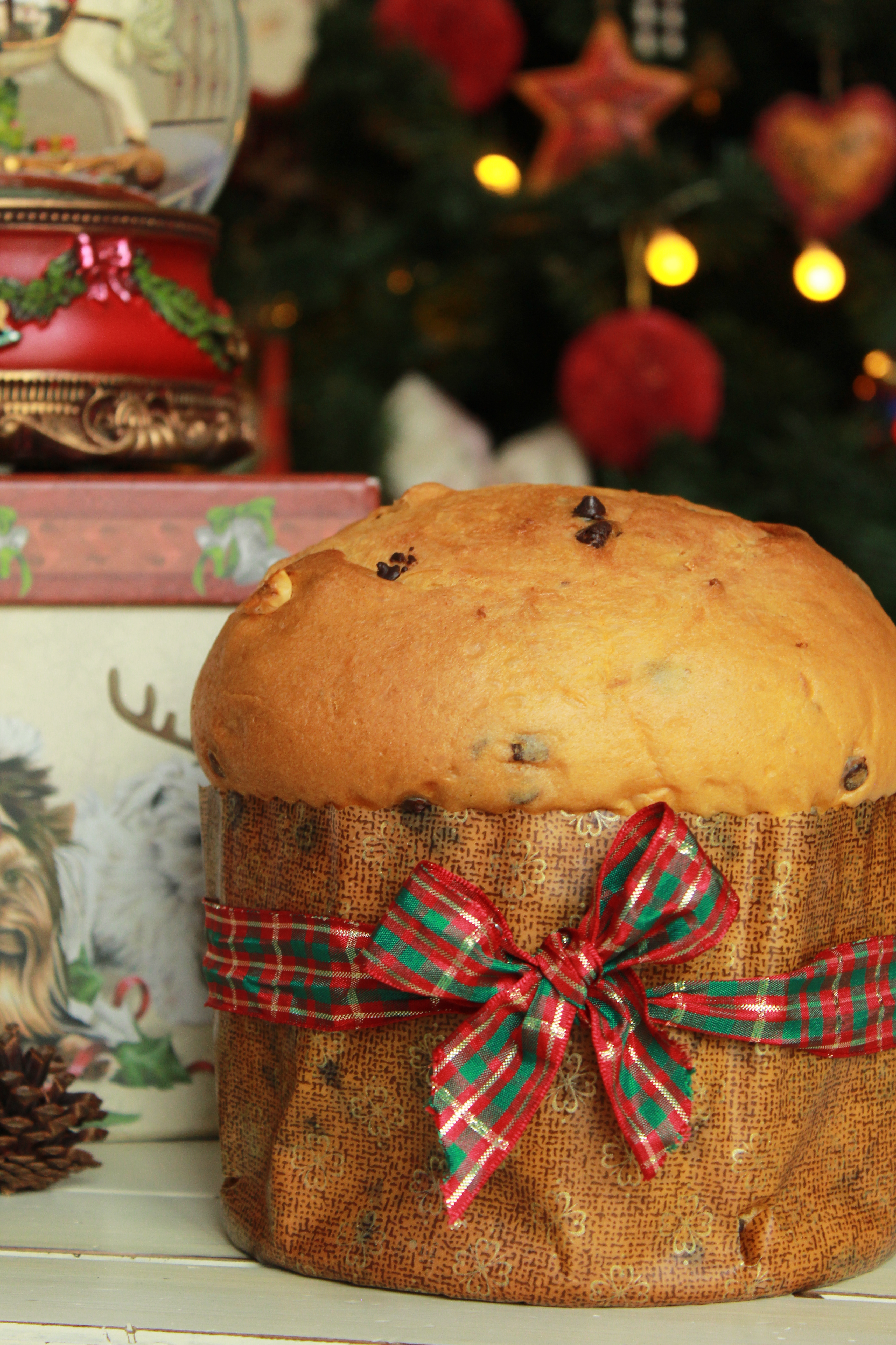 Panettone Con Lievito Madre - Mangioridoamo